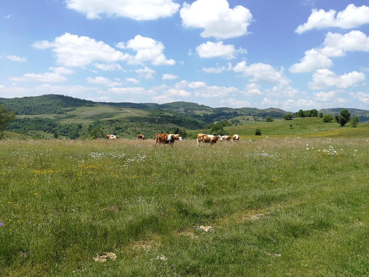 Apartamento Drveni Raj Uvac Sjenica Exterior foto
